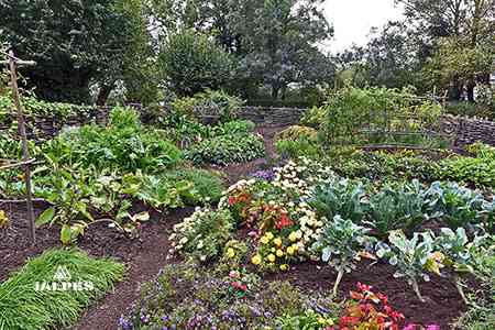 Les Planons, Domaine des Saveurs